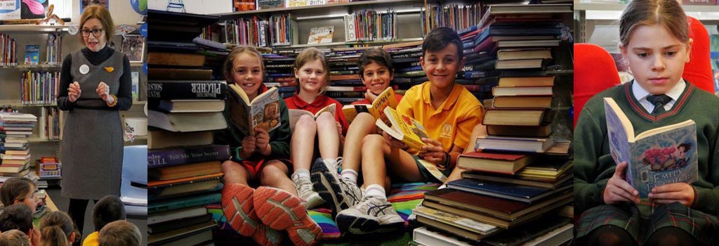 School libraries hit by the loss of a dying breed as teacher librarians enter 'survival mode'
